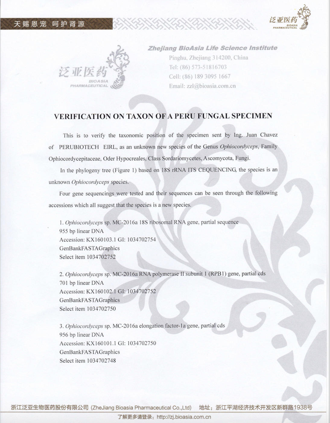 Verification on Taxon of a Perú Fungal Specimen (page 1)